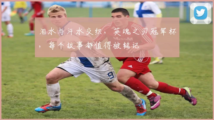 泪水与汗水交织，英魂之刃冠军杯，每个故事都值得被铭记
